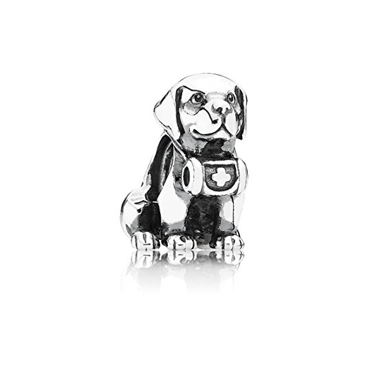 Pandora Basset Hound Big Ears Photo Charm image