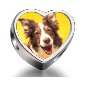 Pandora Border Collie Dog Heart Photo Charm