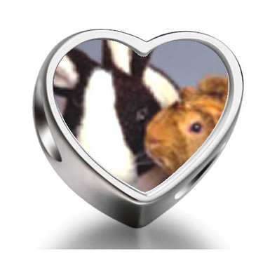 Pandora Bunny And Guinea Pig Photo Charm image