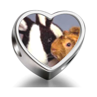 Pandora Bunny And Guinea Pig Photo Charm