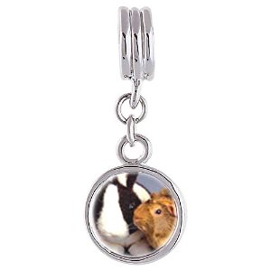 Pandora Bunny And Guinea Pig Photo Flower Dangle Charm image