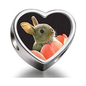 Pandora Bunny In Tulip Heart Photo Charm