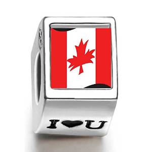 Pandora Canada Flag Photo White Crystal Stone Flower Charm