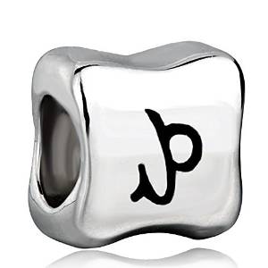 Pandora Capricornus Horoscope Zodiac Charm