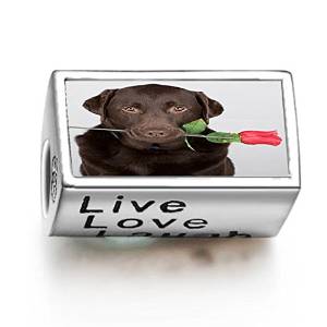 Pandora Chocolate Labrador Live Love Laugh Photo Charm image
