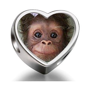 Pandora Cute Baby Monkey Heart Photo Charm