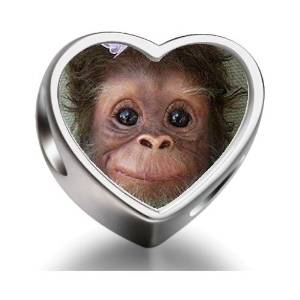 Pandora Cute Baby Monkey Photo Charm