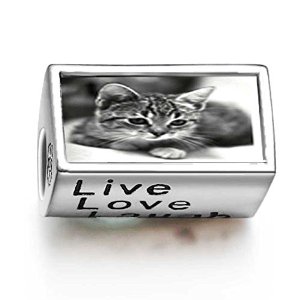Pandora Cute Cat Words Live Love Laugh Charm image