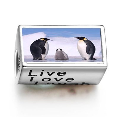 Pandora Cute Penguins Live Love Laugh Photo Charm