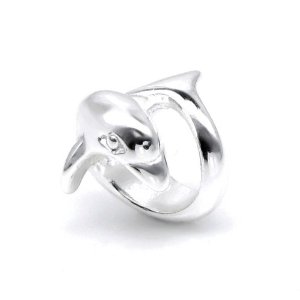 Pandora Dancing Dolphin Charm image