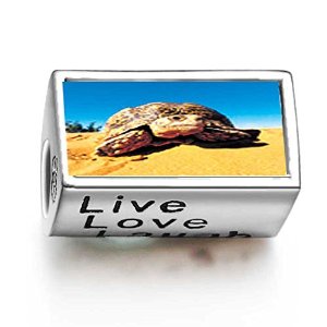 Pandora Desert Turtle Photo Charm image