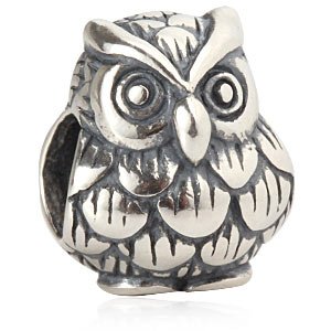 Pandora Detailed Standing Owl Charm image