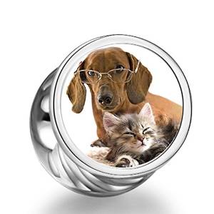 Pandora Dog Cat Photo Charm