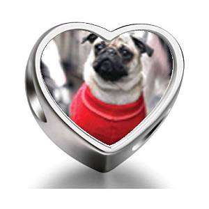 Pandora Dressed Up Pug Charm image