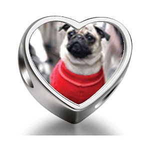 Pandora Dressed Up Pug Heart Photo Charm