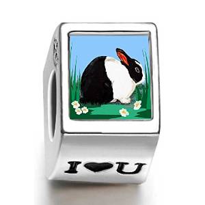 Pandora Dutch Rabbit Photo I Love U Charm image