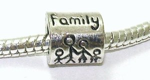 Pandora Family Spacer Single Charm