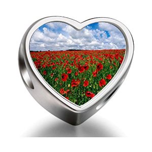 Pandora Field Of Poppies Photo Charm