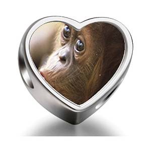 Pandora Goofy Monkey Heart Photo Charm
