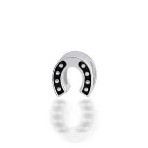 Pandora Horseshoe Sports Charm image