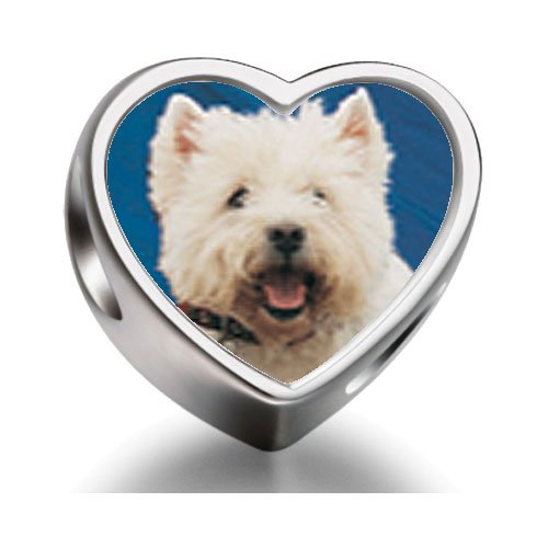 Pandora Jack Russell Terrier Dog Photo Flower Charm image