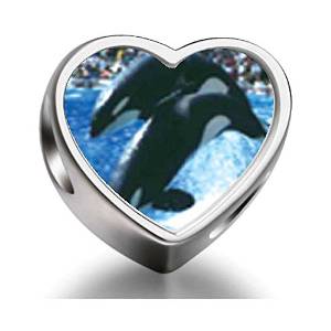 Pandora Killer Whale Show Photo Charm