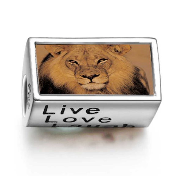 Pandora Lion Live Love Laugh Photo Charm