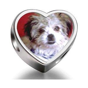 Pandora Little Terrier Heart Photo Charm