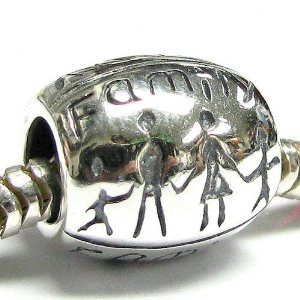 Pandora Love Together Forever Happy Family Charm