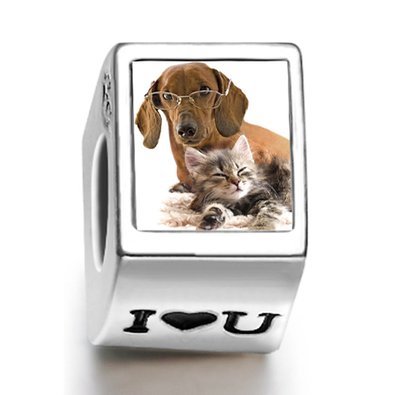 Pandora My Dog Loves My Cat August Birthstone Photo Flower Charm image