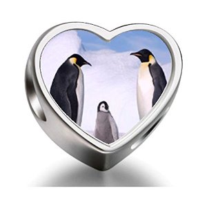 Pandora Penguin In Antarctica Heart Photo Charm