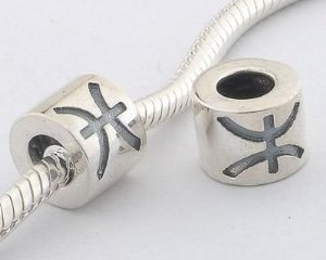 Pandora Pisces Zodiac Chinese Charm image