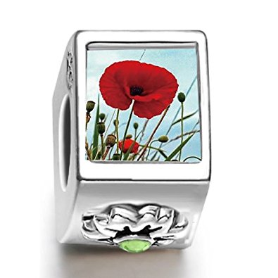 Pandora Poppy Cylindrical Photo Charm