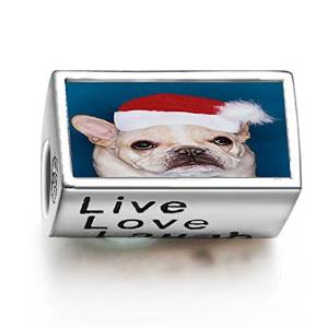 Pandora Pug Dog With Santa Hat Photo Charm