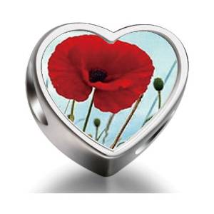 Pandora Red Poppies Cylindrical Photo Charm