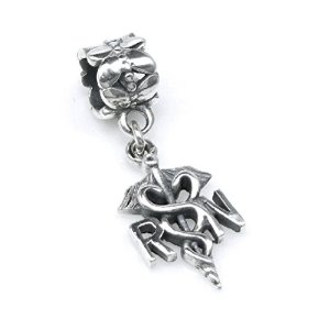 Pandora Registered Nurse RN Logo Flower Dangle Charm