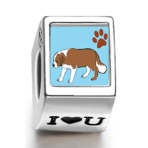 Pandora Saint Bernard Dog Photo Charm