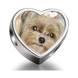 Pandora Shih Tzu Dog Heart Photo Charm