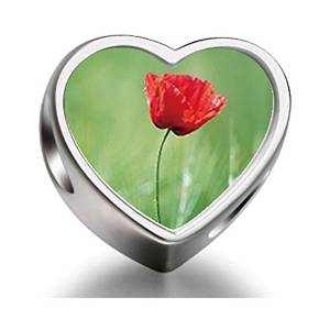 Pandora Shirley Poppy Photo Charm