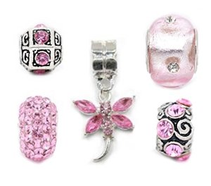 Pandora Silver Pink Set Of 5 Charm