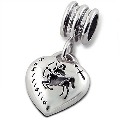 Pandora Silver Zodiac Sign Charm image
