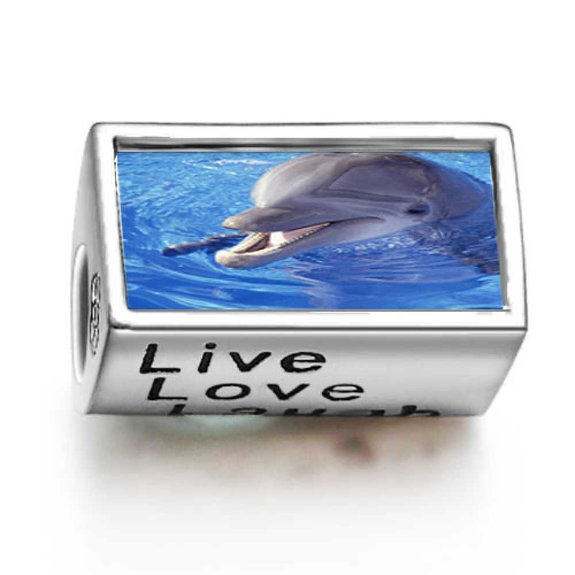 Pandora Smiling Dolphin Heart Photo Charm image