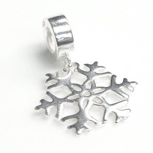 Pandora Snowflake Snow Flower Dangle Charm image