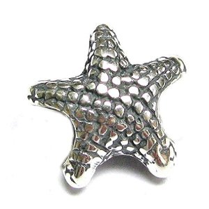 Pandora Starfish Focal Charm image