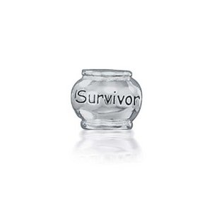 Pandora Survivor Inspirational Charm