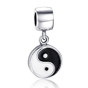 Pandora Tai Chi Dangle Charm