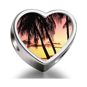 Pandora Tropical Palm Tree Heart Photo Charm