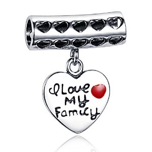Pandora Valentine Present I Love My Family Charm