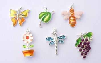 Set Of 6 Silver Plated Enamel Garden Themed Charm image