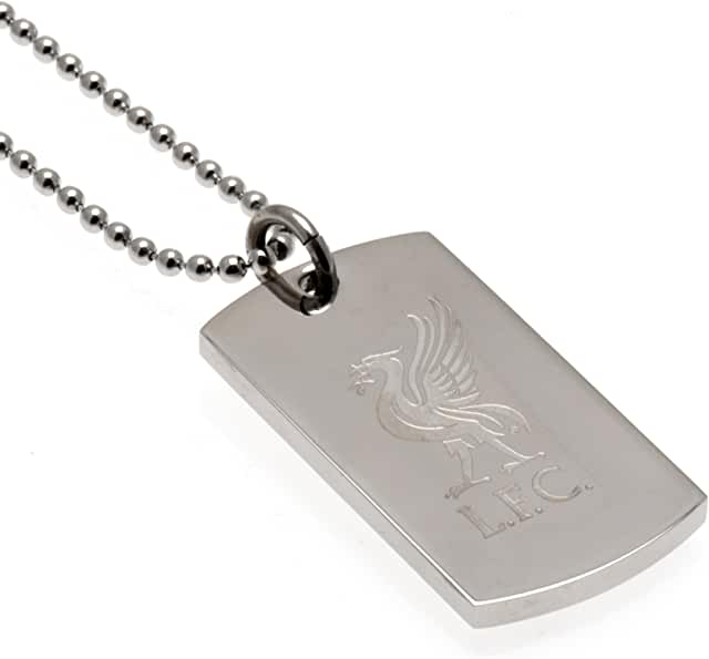 Silver Chelsea FC Crest Pendant With Chain image